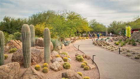 Botanical Garden In Phoenix Arizona | Fasci Garden