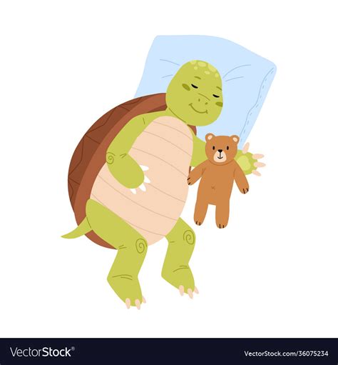 Cute and funny turtle sleeping with teddy bear Vector Image