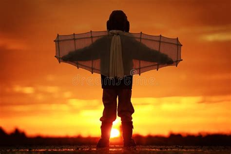 In Dreams about Flying. Boy Takes a Kite Over His Head Stock Image - Image of grass, goal: 140326865