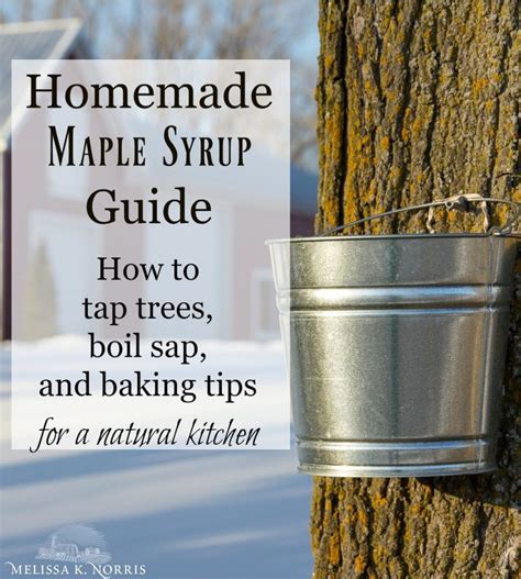 Homemade Maple Syrup Guide - How to Tap, Make Syrup & Baking Tips | Homemade maple syrup, Maple ...