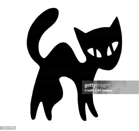 Black Cat Bad Luck Photos and Premium High Res Pictures - Getty Images