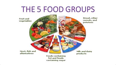 NS 2 Unit 2 The 5 food groups video - YouTube