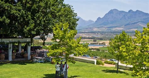 Spice Route Winery | Paarl | Curry Wines