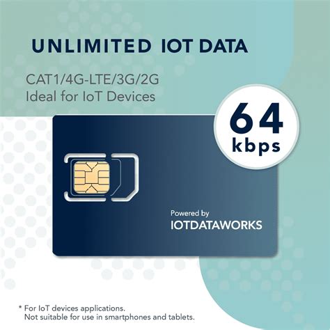 IoTDataWorks Unlimited IoT SIM Card with 12-Month Service | No ...