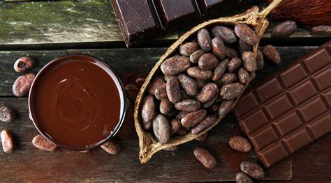 6 Must-See Australian Bean-to-Bar Chocolate Factory (& Farm) Tours ...