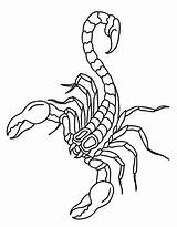 Scorpion Coloring Pages Free Printable PDF sketch template