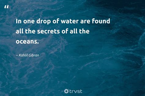 Quotes About Saving The Ocean - Inessa Ulrikaumeko