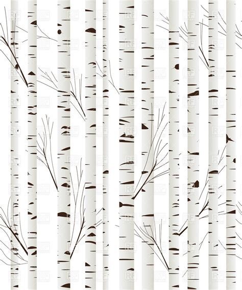 Birch Wood Trees Background Download Royalty Free Vector Clipart Eps ...