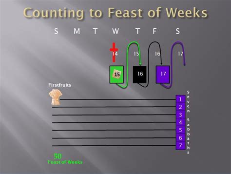 Counting-to-feast-of-weeks - Visual Story Bible