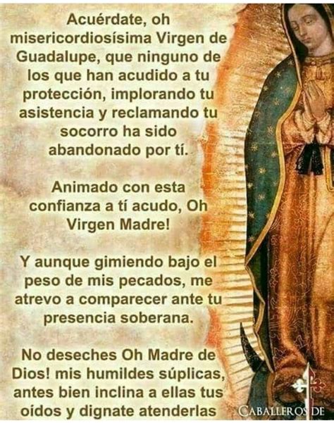 Descubrir 63+ imagen frases de la virgen de guadalupe para niños ...