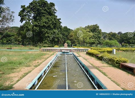 Lalbagh Botanical Gardens, Bangalore, Karnataka Stock Image - Image of lalbagh, famous: 148065033