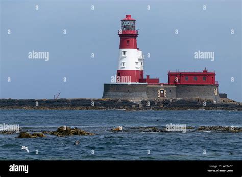 Farne islands seals hi-res stock photography and images - Alamy