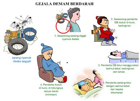 Pengobatan Alternatif Demam Berdarah Dengue (DBD) | Pengobatan Alternatif, Herbal Alami ...