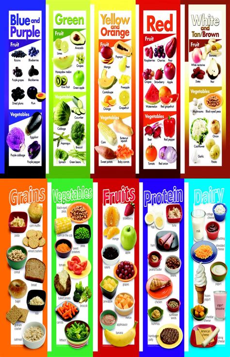 Food Groups Poster Set Grains Vegetables Fruits Protein Dairy – NBKomputer