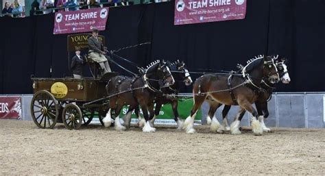 Shire Horse Society National Show 2020 - Enjoy Staffordshire