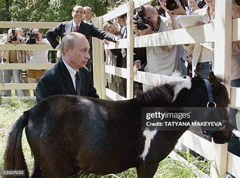 181 Vladimir Putin Horse Stock Photos, High-Res Pictures, and Images - Getty Images