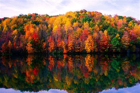 Where to See the Best Fall Foliage in West Virginia