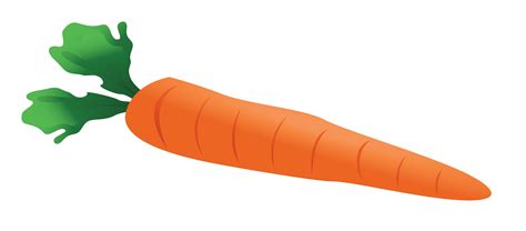 Carrot clipart single vegetable pencil and in color carrot png - Clipartix