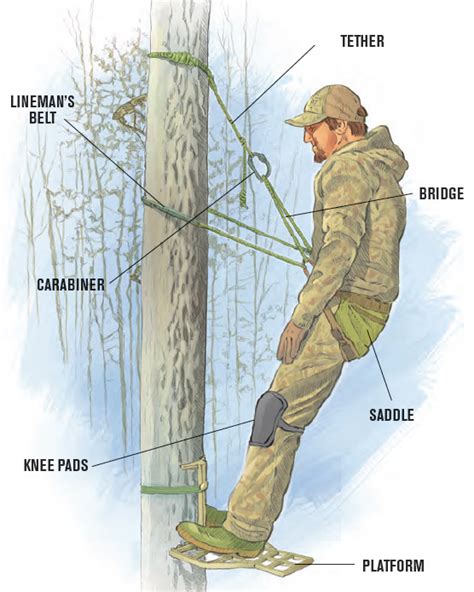 BOWHUNTING's Guide to Tree Saddle Hunting - Bowhunter