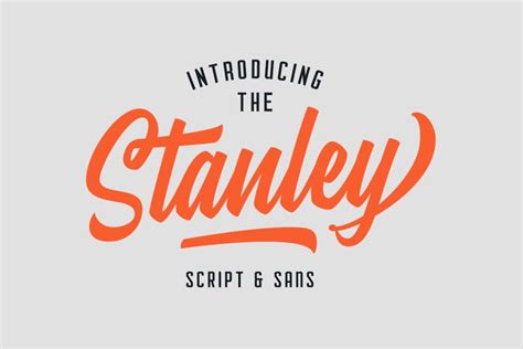 Stanley Font Duo (40%) Intro OFFER! (107272)