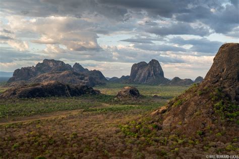 Niassa Reserve | Photos Pictures Images