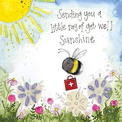 ALEX CLARK Get Well Bee Sunshine Card : Amazon.co.uk: Stationery & Office Supplies Get Well ...