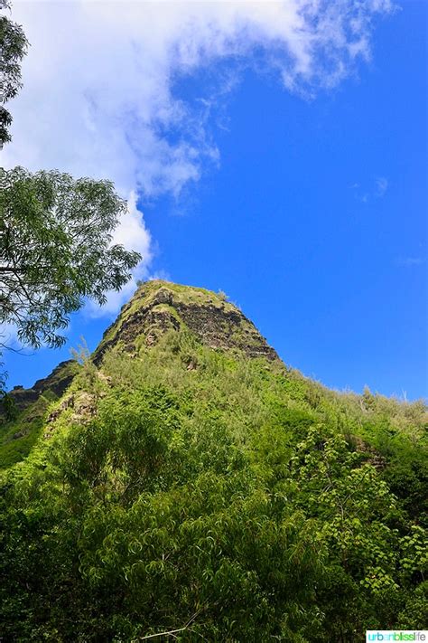 Limahuli Garden and Preserve Kauai Hawaii Island