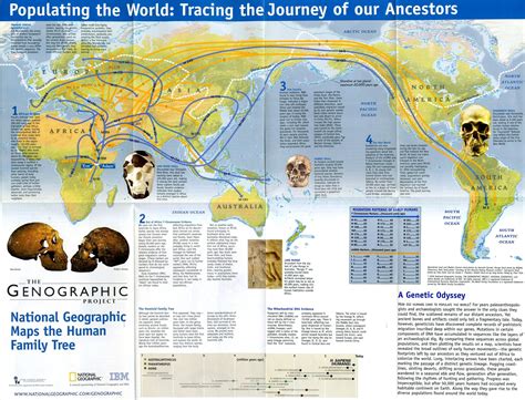 imgur.com | National geographic maps, Early humans, Human family tree