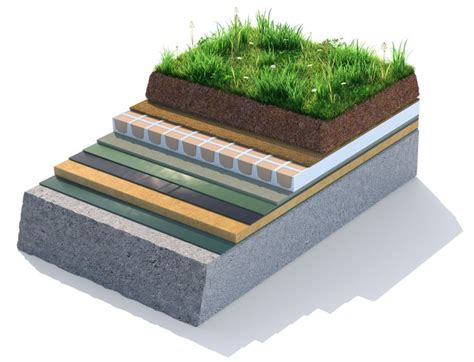 What's Under the Grass on That Roof? | Green roof, Sedum roof, Green roof system