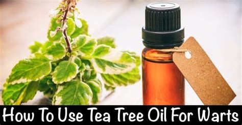 Tea Tree Oil For Warts – Treatment & Side Effects - Product Rankers