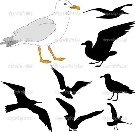 Seagull Silhouette at GetDrawings | Free download