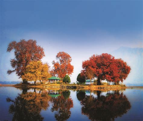 Char Chinar Island, A must visit at Dal Lake. #kashmir #MyKesariStory | Holiday packaging ...