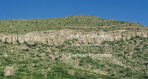 Overview photograph of the Holder Formation at the Holder bioherm... | Download Scientific Diagram