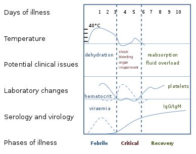 Dengue fever - Wikipedia