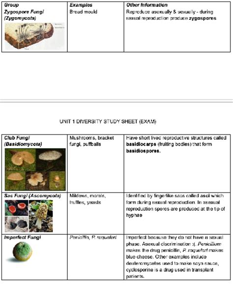 General Biology - Group Examples Other Information Zygospore Fungi Bread mould Reproduce ...