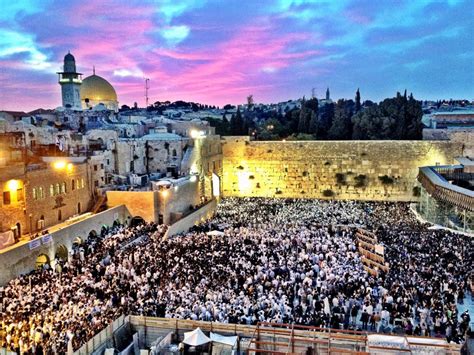 C – Birchas Kohanim | Sukkah Murals