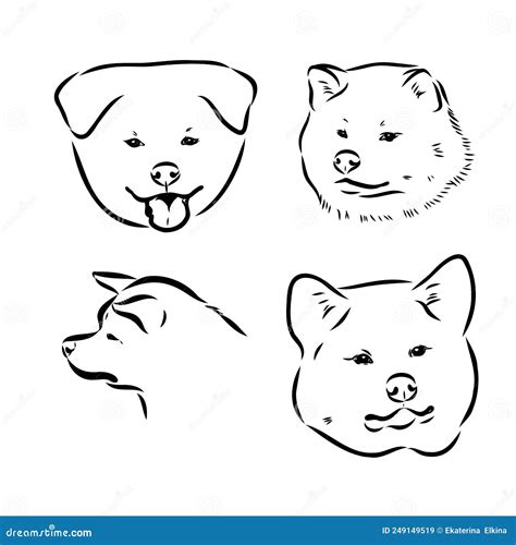 Akita Dog Face - Isolated Vector Illustration Akita Inu Dog Vector Stock Vector - Illustration ...