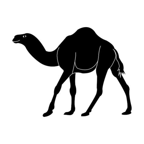 Premium Vector | Camel logo vector illustration design