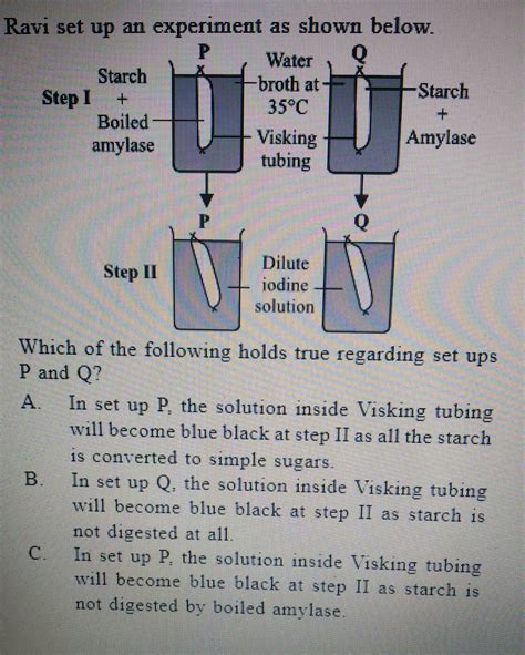 Study the experimental set up shown below.Which of the following ...