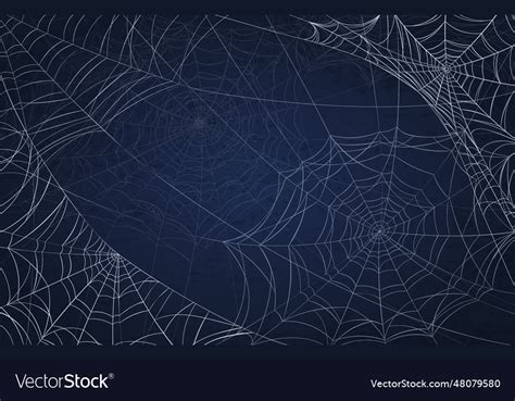 Spider web background for halloween Royalty Free Vector