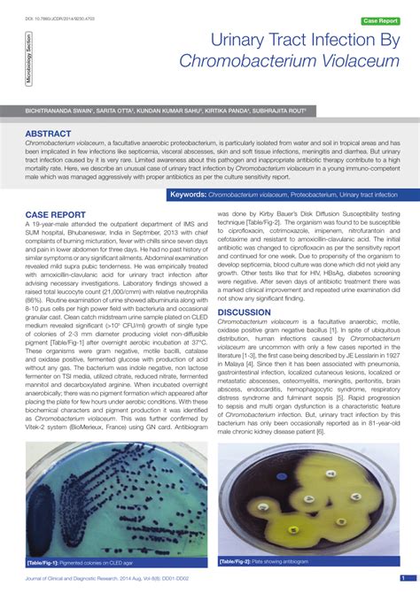 (PDF) Urinary Tract Infection By Chromobacterium Violaceum