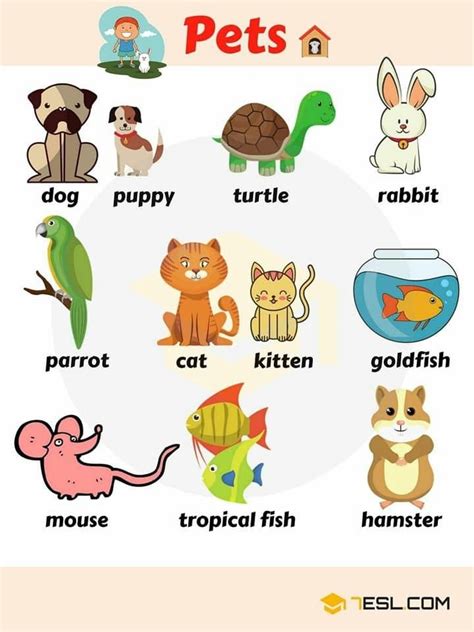 Pin by Kazimiera Tuptanowska on Bilingüe Inglés | English vocabulary ...