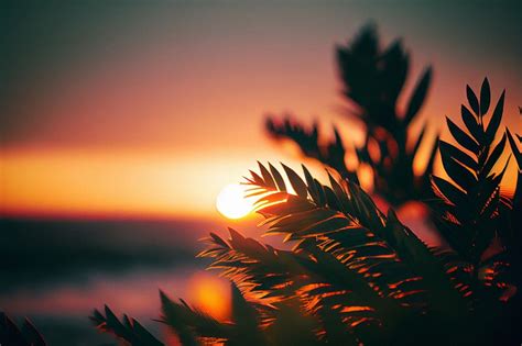 Branches, leaves, sun, sunset, blur, HD wallpaper | Peakpx