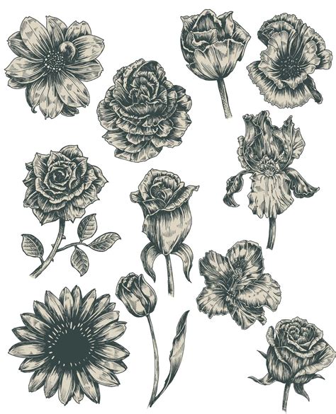 Monochrome vintage flowers vector | Free download