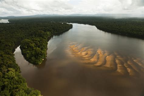 Río Esequibo: Todo lo que necesita saber sobre él