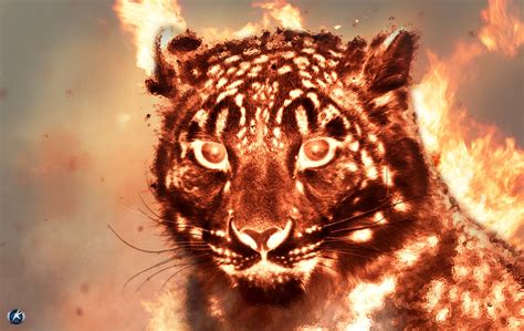 Fire Tiger Wallpaper by Okman179 on DeviantArt