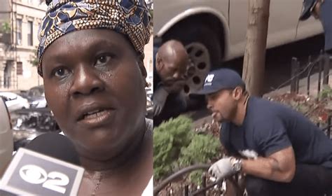 New York Woman Hilariously Describes NYC Rat Infestation In Interview: “We’ve Had Rats The Size ...