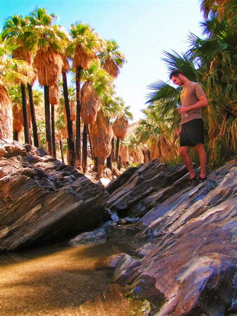 Hiking Palm Springs: Indian Canyons and the oasis in the desert