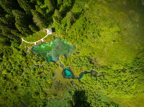 Visit And Explore The Zelenci Nature Reserve In Kranjska Gora, Slovenia