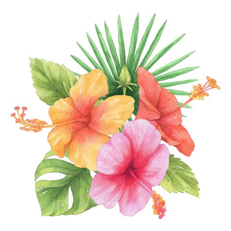 Premium Vector | Hibiscus flower watercolor